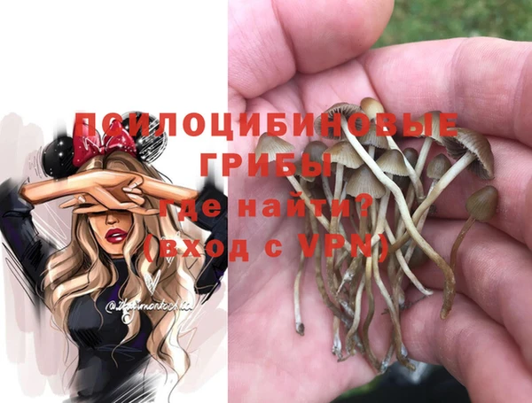 2c-b Михайловск