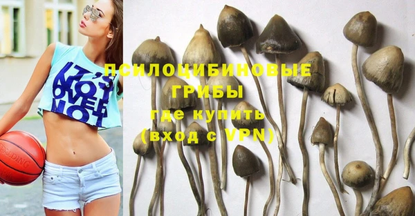 хмурый Михайлов